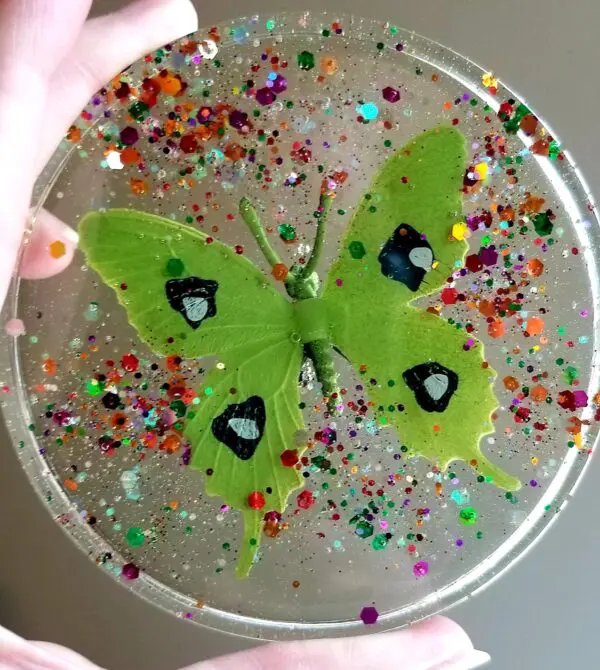 Butterfly Drink Coasters Set