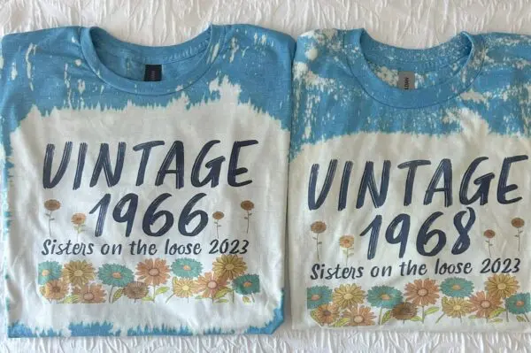 Vintage 1966 Sisters On The Loose 2023 T-Shirt