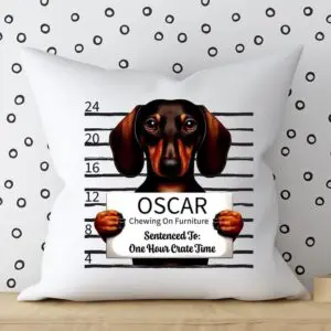 Personalized Dachshund Mugshot Accent Pillow Cover