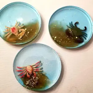 Sea Life Drink Coaster Set