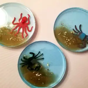 Sea Life Drink Coaster Set