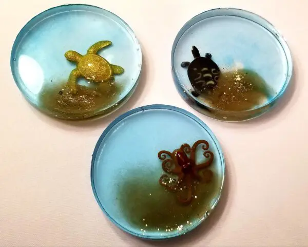 Sea Life Drink Coaster Set