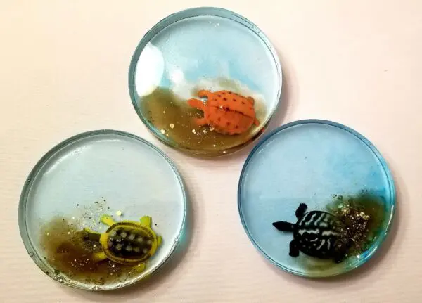 Sea Life Drink Coaster Set