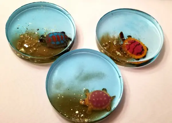 Sea Life Drink Coaster Set