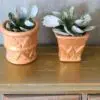 Adorable Dollhouse Terra Cotta Potted Plants