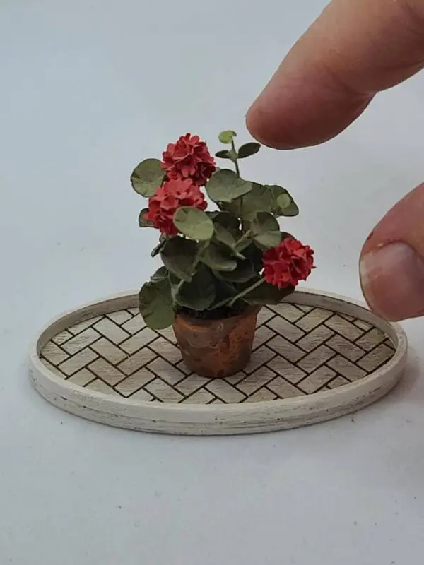 Miniature Red Plant