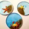 Sea Life Coaster Set