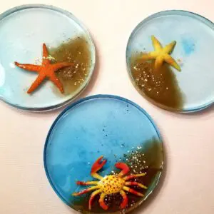 Sea Life Drink Coaster Set