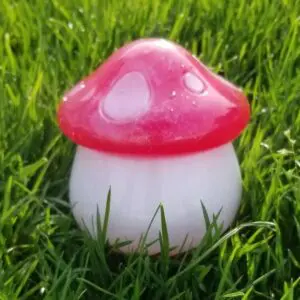 Gorgeous Handcrafted Resin Mushroom Jars
