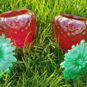 Beautiful Handcrafted Resin Strawberry Jars