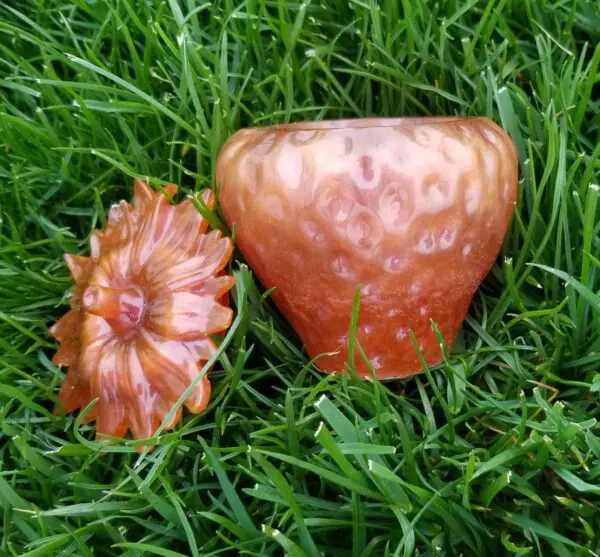 Handcrafted Chameleon Resin Strawberry Jars