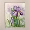 Beautiful Spattered Watercolor Iris Painting