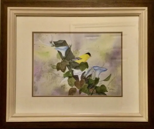 Handsome Little Goldfinch And Morning Glories Watercolor Print