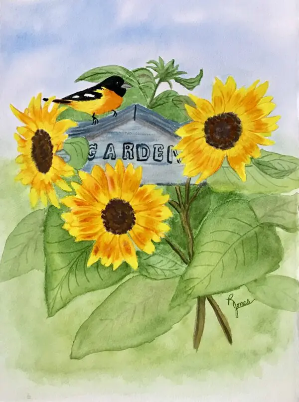 Bright And Cheery Sunflowers Original Watercolor Painting