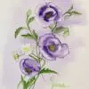 Radiant Purple Poppy