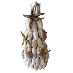 Sensational Seashell Tree