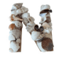 Letter N In Seashells