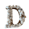 Letter D In Seashells