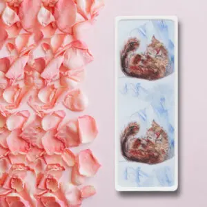 Princess and the Pea Cat Animal Art Bookmark