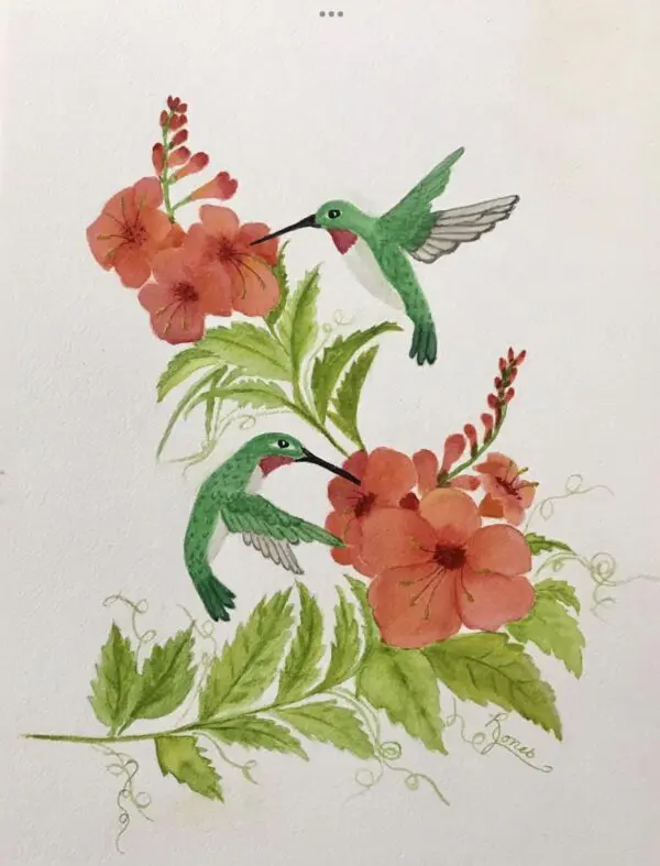 Print Of Hummingbirds And Hummingbird Vine