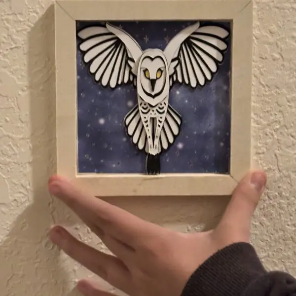 Flying Barn Owl Shadowbox