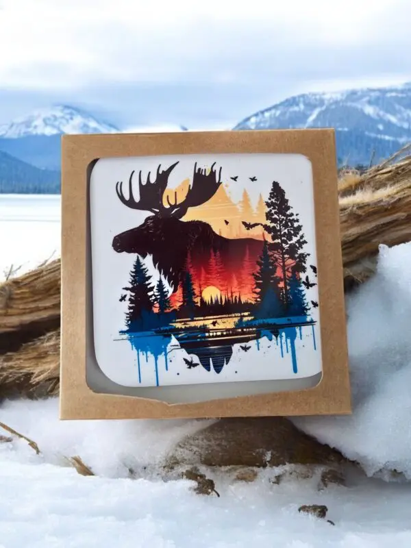 Lovely Indoor Coaster Of A Moose Basking In The Sunrise Amongst The Trees