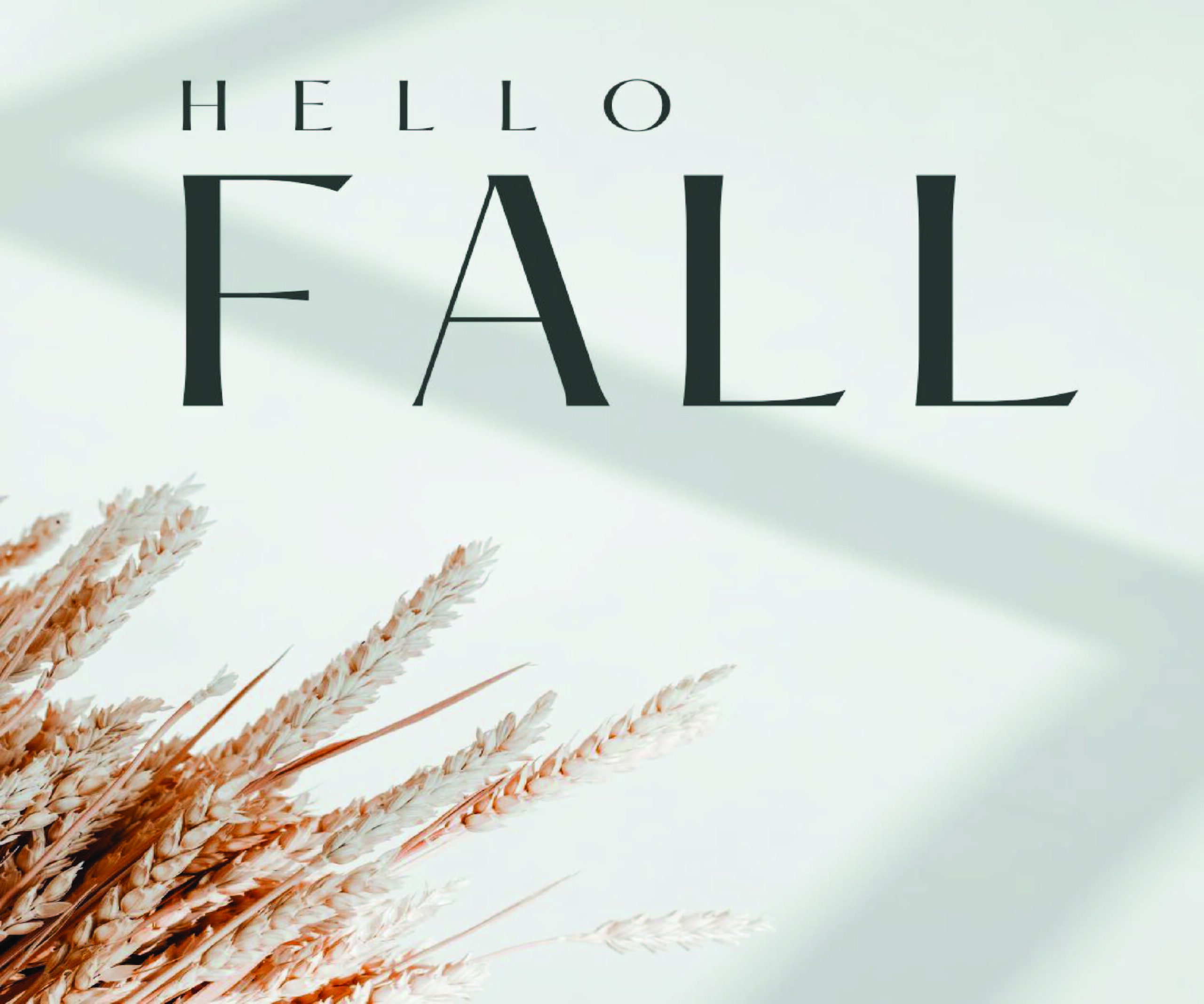 fall