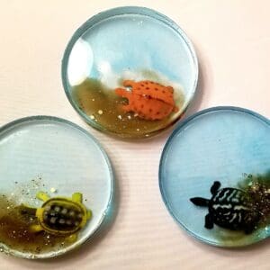 Sea Life Drink Coasters