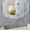 Beautiful Decorative Dollhouse Etched Mirror