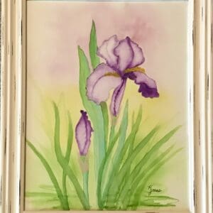 Beautiful Purple Iris Watercolor Painting