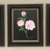 Stunning Original Oil On Canvas “Peony Collection” - Set Of 3