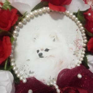 Unique Handmade Pomeranian Wreath