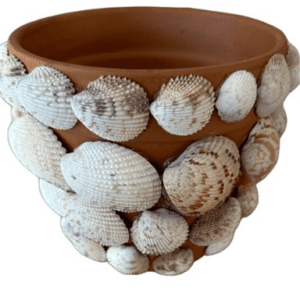 Sensational Seashell Covered Flowerpot 2