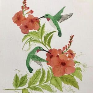 Print of Hummingbirds and Hummingbird Vine