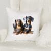 Cardinal Accent Pillow Covers